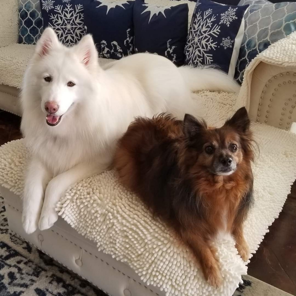 Meet your Posher Wwoods10bg